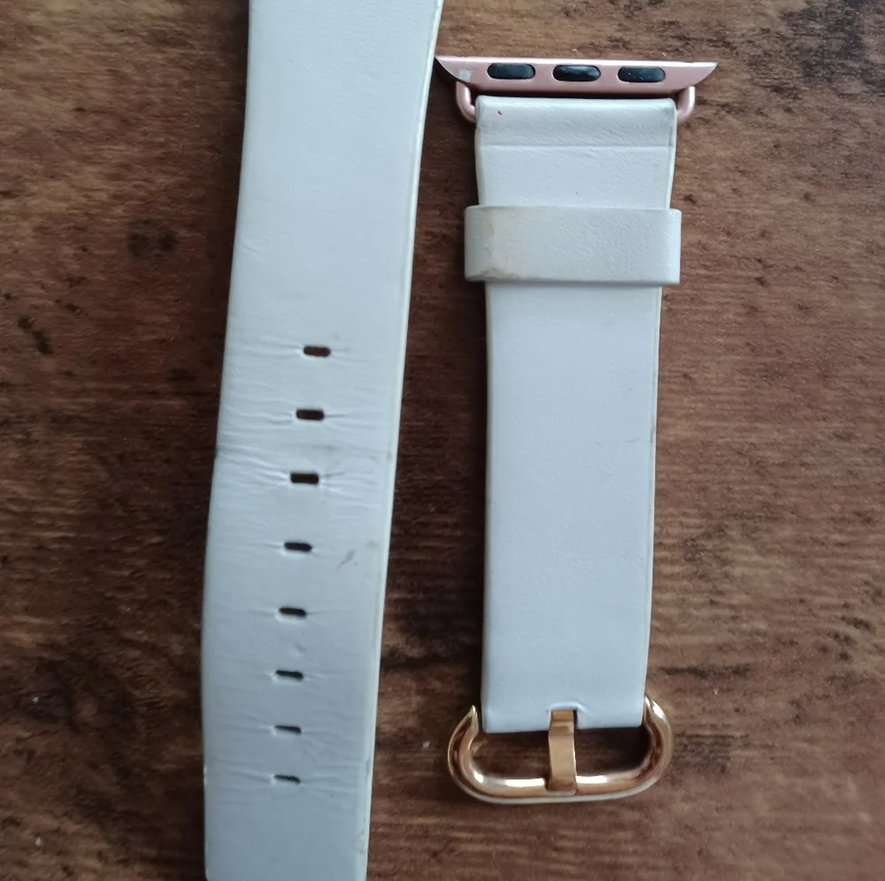 Apple designer watch band